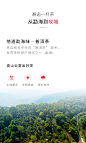 TAETEA大益茶庭 玫瑰普洱熟茶 原叶三角立体袋泡茶 便携茶包12袋-tmall.com天猫