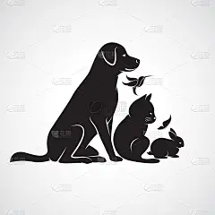 向量组的宠物-狗、 猫、 鸟、 蝴蝶、 兔，隔离