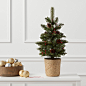 24&#;34 Artificial Pine Cone Tree Arrangement with Berry Red/Natural - Threshold&#;8482 : Read reviews and buy 24&#34; Artificial Pine Cone Tree Arrangement with Berry Red/Natural - Threshold&#8482; at Target. Choose from contactless Same 