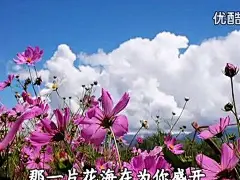 我一直在等待,等待花开,等待风起,等待你来。 L白玛多吉 为你等待 ​​​​