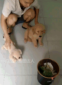 麥窴采集到GIF