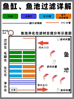 双份长颈鹿采集到房产&庭院