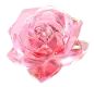 花4