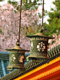 平安神宫是纪念京都迁都1100周年修建的，虽然不是历史最悠久的神社，但是这里却有着独一无二的美景。一株八重红枝垂樱是平安神宫最具代表的美景，樱花流苏，倾到无数访客。这里也是祗园祭举行的重要场地之一，这里的红木大鸟居是日本最大的，十分壮观。