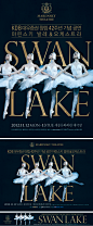 Performance :: alternative graphics - PROPAGANDA :: - 발레 - 백조의 호수 Swan Lake