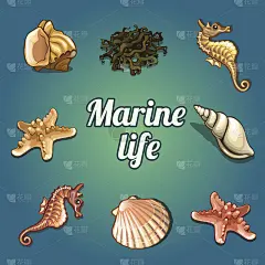 七个贝壳和海洋居民