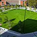 美国宾夕法尼亚大学公共绿地Shoemaker Green at University of Pennsylvania_田道绿方_新浪博客