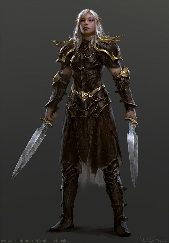 DnD Half-elf Fighter...