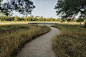 休斯顿纪念公园 · 陆桥与草原项目 / Nelson Byrd WoltzLandscape Architects – mooool木藕设计网
