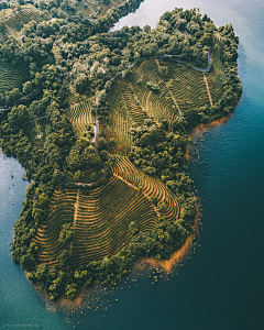 Fancy_随风采集到风景