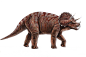 Dinosaur PNG