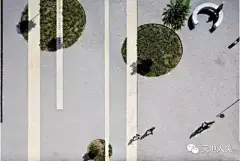 【天地大美---景观鉴赏】树池也可以很艺术，别再说你不会设计树池了-天地大美-微头条(wtoutiao.com)