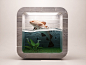 Dribbble - Fish ios icon by Webshocker