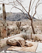 JOSHUA TREE - SPELL Boho Chic, Hippie Chic, Bohemian Style, Joshua Tree Nat...