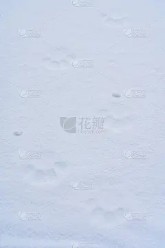 足迹