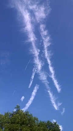自然界的灰色系采集到天空