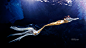 Photograph Mermaid 3 by Rafal Makiela on 500px