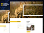 National Geographic Channel Landing Page redesign 