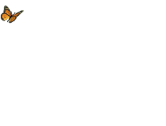 猫仔子子采集到礼物GIF