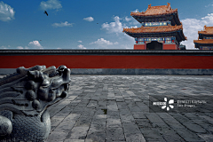 Ning丶0采集到地板