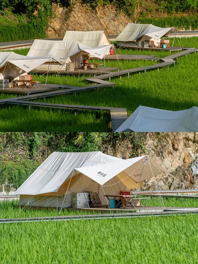 西安周边这个「稻田营地」好美啊