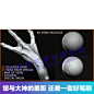 40种血管效果zbrush全血管笔刷190