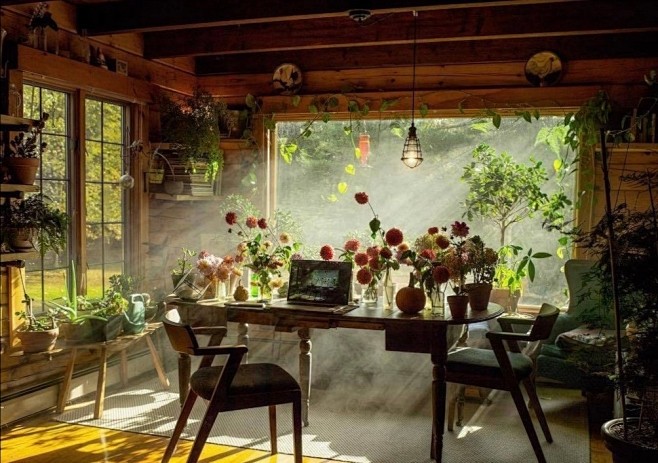 居家环境·室内设计·绿植·晨光