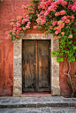 This door was right next to our hotel - love me some bougainvillea!