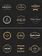 Diverse vintage inspired logos and badges as templates for your next design project.