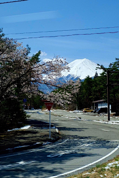 木貝貝女采集到Photo-旅行