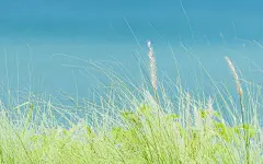 普吉岛静谧的蓝唯美风景图电脑高清壁纸-55壁纸网