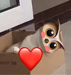 表情包