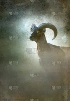 欧洲盘羊,公羊,雾,绘画风格,职权,过时的,寒冷,野生动物,灰色,美术绘画