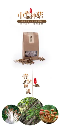 摄影设计导师：刘宽星老师创办
星垣网络设计室，专业的设计与摄影工作室。
或许现在你我不曾相识，但是不久之后你我必会相知，创意在我，选择由你。

营业范围：
婚礼摄影摄像、产品摄影、证件快照、专业cos摄影、个人写真、微电影、宣传片拍摄、 淘宝天猫网店设计、详情页设计、LOGO设计、海报设计、 包装设计、 画册设计、PPT设计、老照片翻新、网站建设、微信公众号建设等