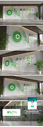 绿色大型整墙企业文化墙走廊文化墙下载