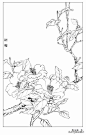 分享 | 9种花卉的各形态白描图 值得收藏