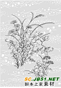 日本线描植物花卉矢量素材 #采集大赛#