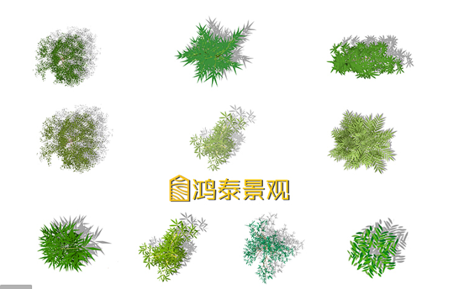 景观PS竹子平面立面分层植物素材剖面图效果图竹子高清PSD素材-淘宝网