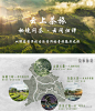 2020 普洱茶国际健康城旅游小镇方案文本