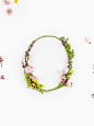 Blossom type / Alice Mourou & Zero - 谷德设计网