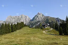 小屋,前面,传统,奥地利,草,户外,天空,木制,晴朗,草地