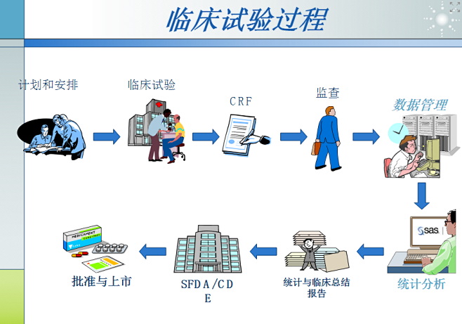 临床试验过程