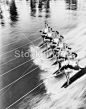 妇女滑水的行#黑白# #女人# #摄影# #运动# #冲浪# 