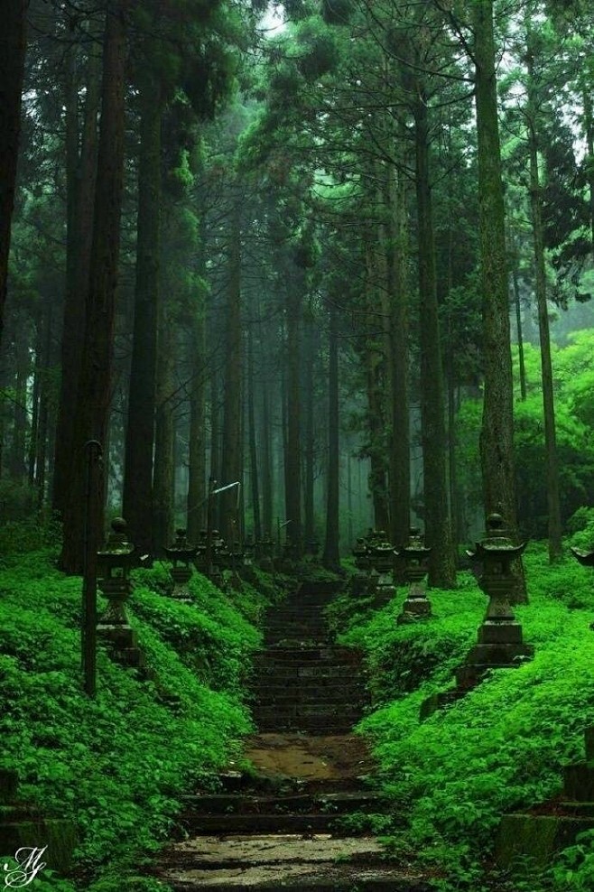 熊本神社。（via 豆瓣网友 - 段本司...