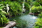 热带禅宗花园景观与喷泉和绿色的植物