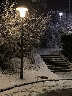 这是一幅冬日夜晚路灯和楼梯的街景。周围的灌木丛被雪覆盖着，地上有雪泥。背景中还有一盏灯照亮了这个区域