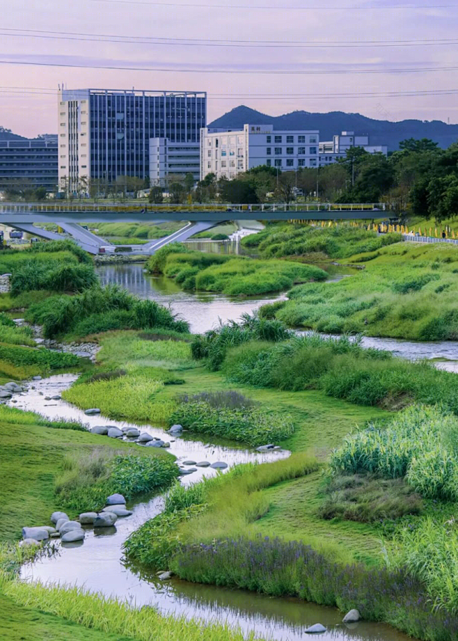 深圳茅洲河碧道 | 水岸重生，生态共建-55