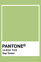 Pantone Sap Green