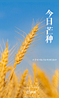 微博搜索