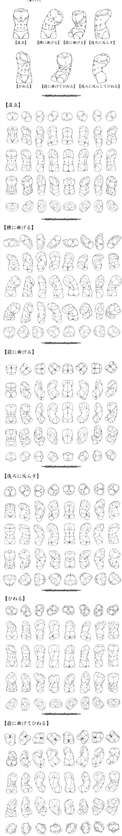 糖果果喵采集到躯干